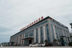 小面皮大产业 海外华文媒体记者走进宝鸡深入了解地方特色产业发展