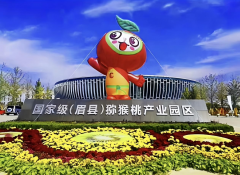 小小猕猴桃 致富大产业 海外华文媒体记者走进中国猕猴桃之乡 陕西眉县